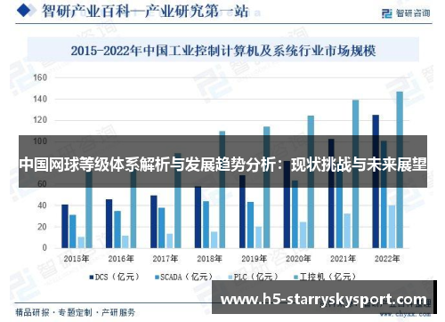 中国网球等级体系解析与发展趋势分析：现状挑战与未来展望